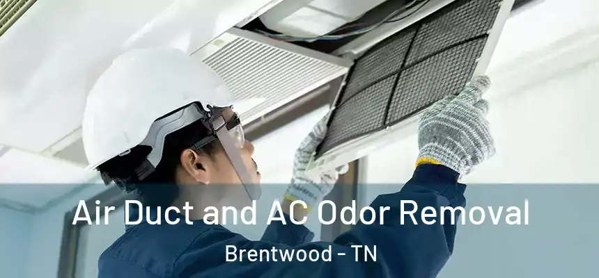  Air Duct and AC Odor Removal Brentwood - TN