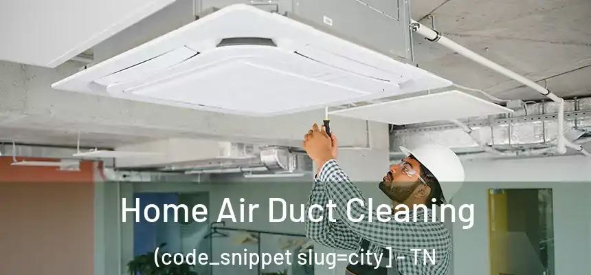  Home Air Duct Cleaning (code_snippet slug=city] - TN