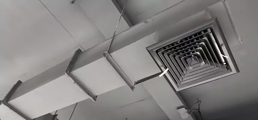 Our Rodent Droppings In Vents Services in Brentwood, TN