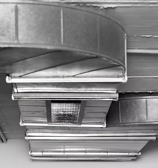 Professional Air Duct Pest Removal in Brentwood, TN