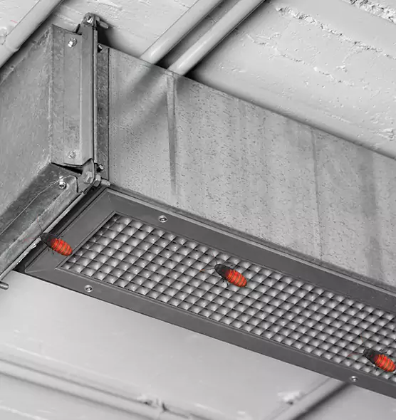 Affordable Insect Removal from Air Ducts in Brentwood, TN