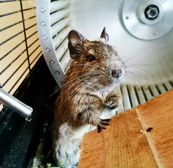 Why Homeowners & Businesses Trust Us Brentwood, TN