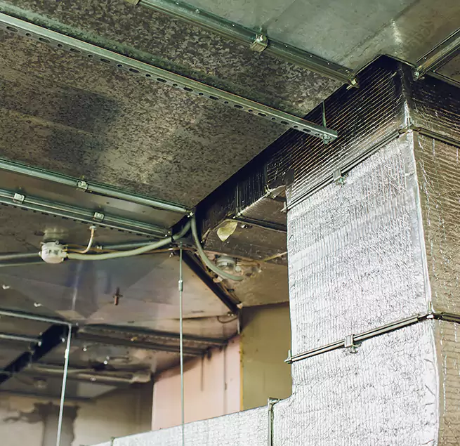 Why Homeowners & Businesses Trust Us in Brentwood, TN?